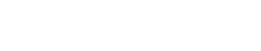 Team leadership by everybody -全員によるチームリーダーシップ-