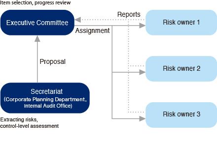 Risk management promotion system