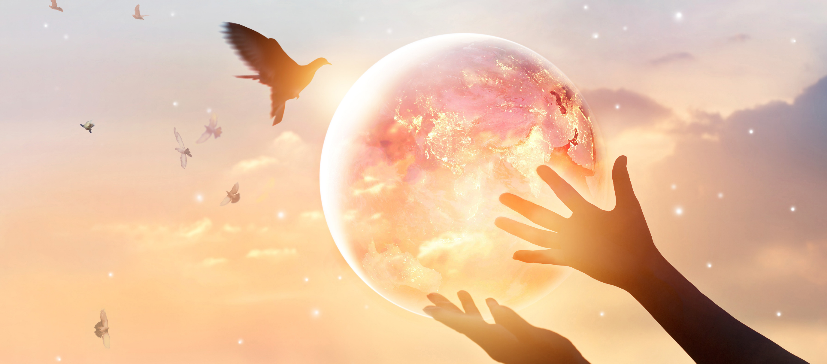 3Rへの取り組み