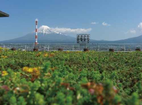 Land transportation by railway