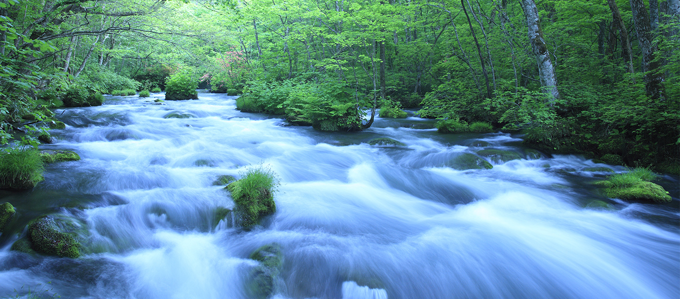 3Rへの取り組み