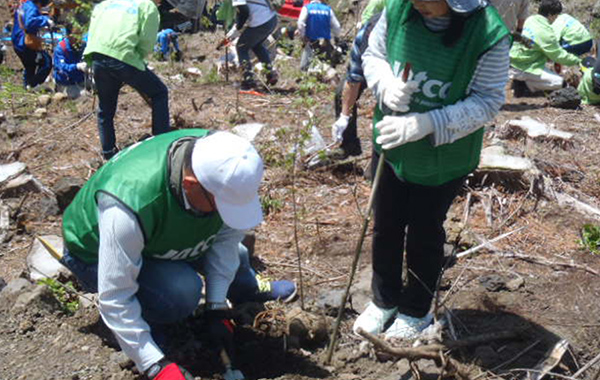 Environmental Activities and Other General Initiatives