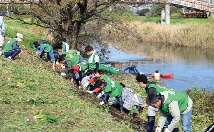 Planting equinox flowers