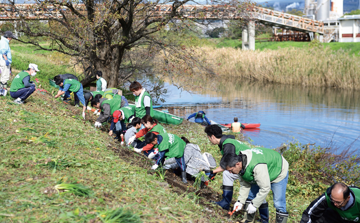彼岸花の植付け