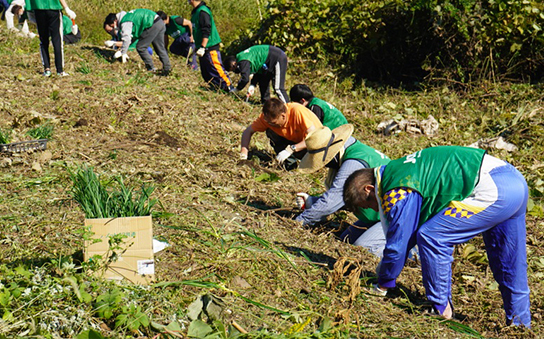 Planting equinox flowers