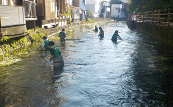 Cutting aquatic weeds in the Tajuku River