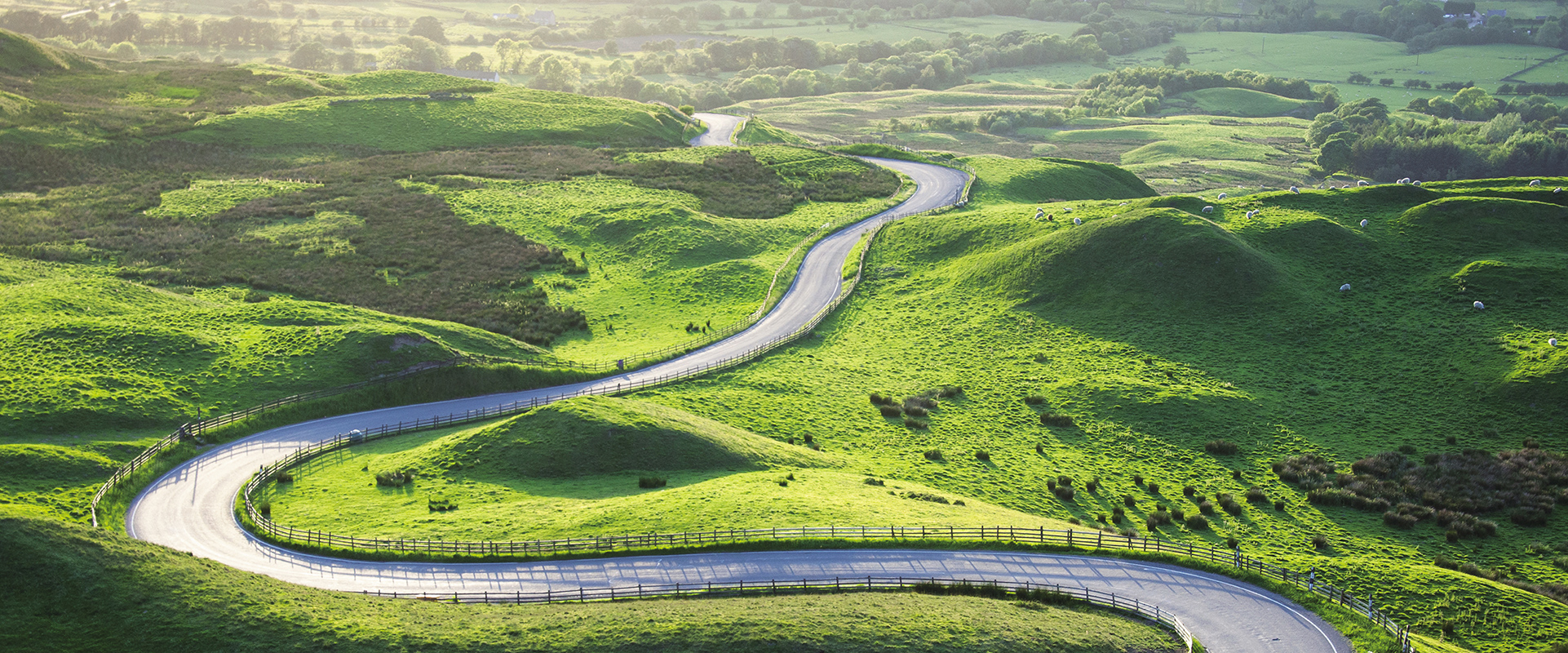 image:Carbon Neutrality Initiatives