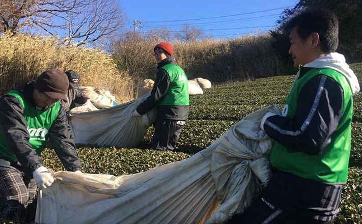 Mangrove reforestation activity carried out in Thailand